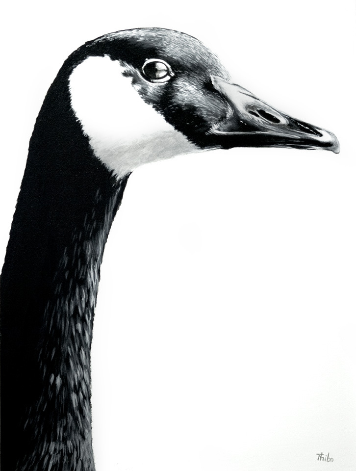 robert thibault - Bernache 92 cm x 122 cm