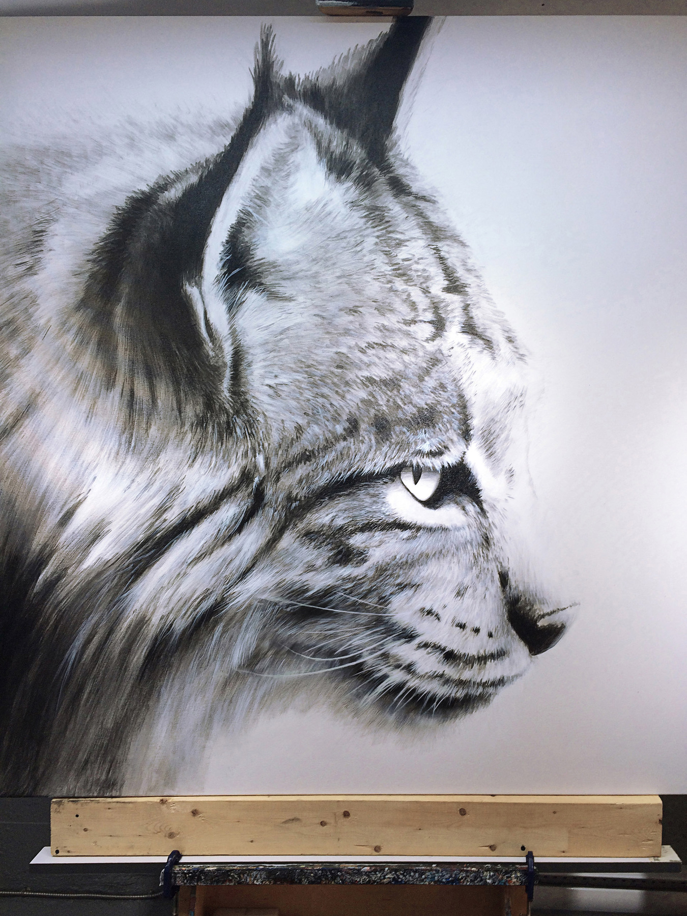 robert thibault - Lynx 160 cm x 160 cm