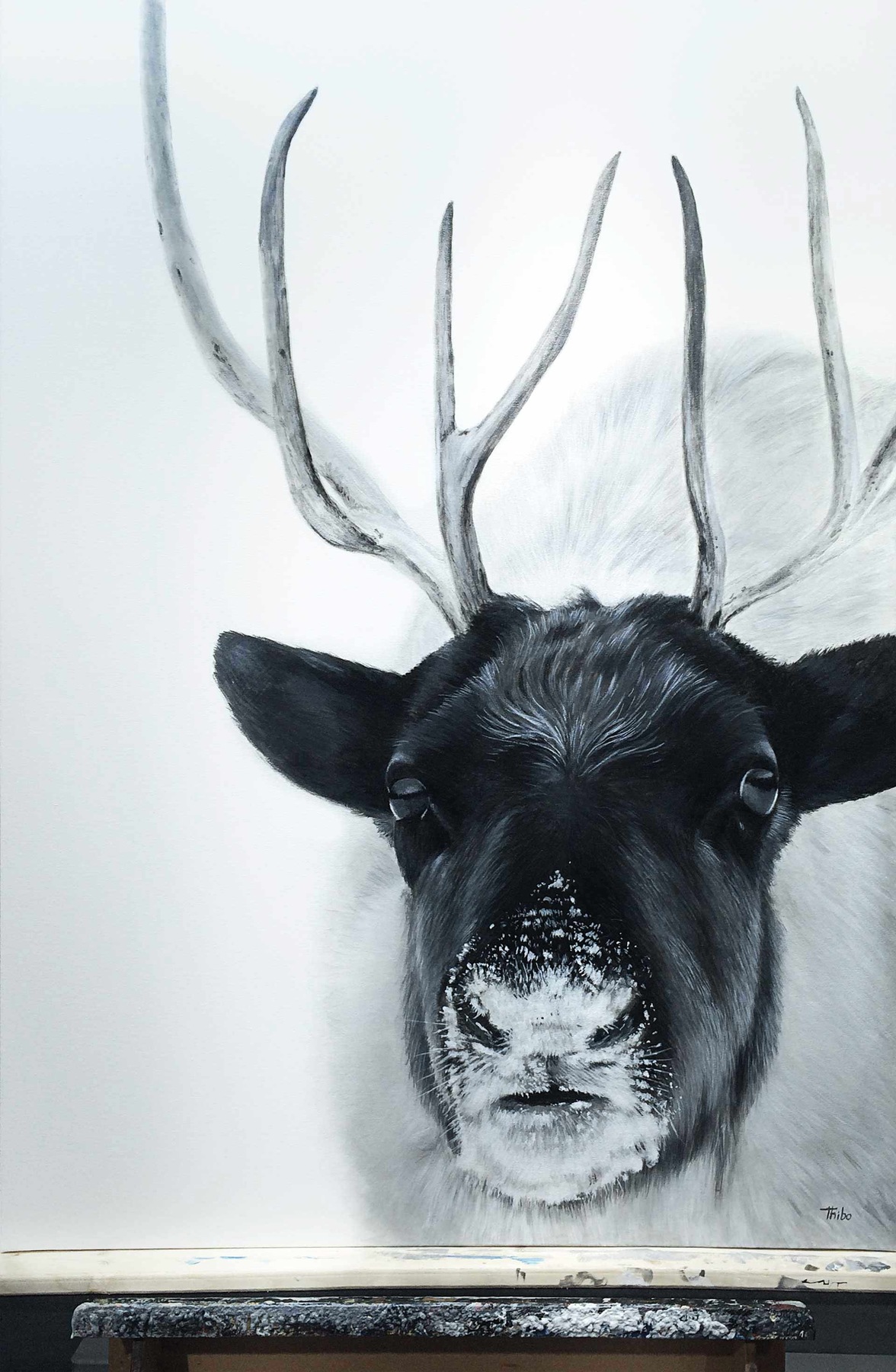 robert thibault - Caribou forestier 92 cm x 122 cm
