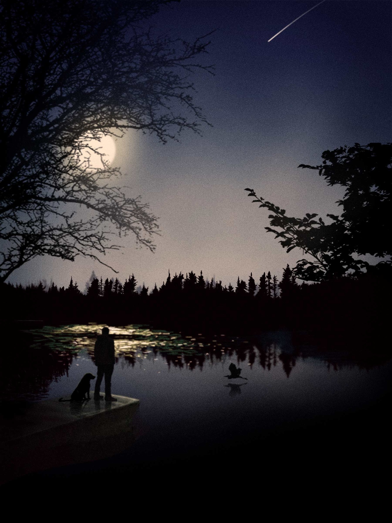 robert thibault - Lhomme qui regardait le lac