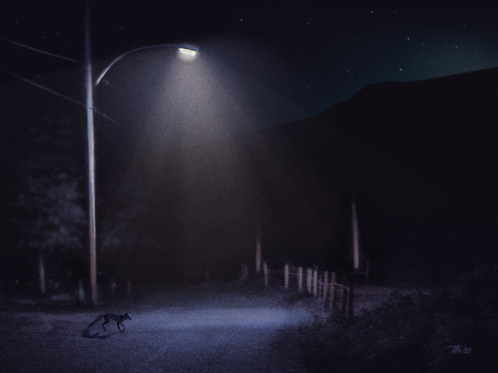 robert thibault - Un renard la nuit