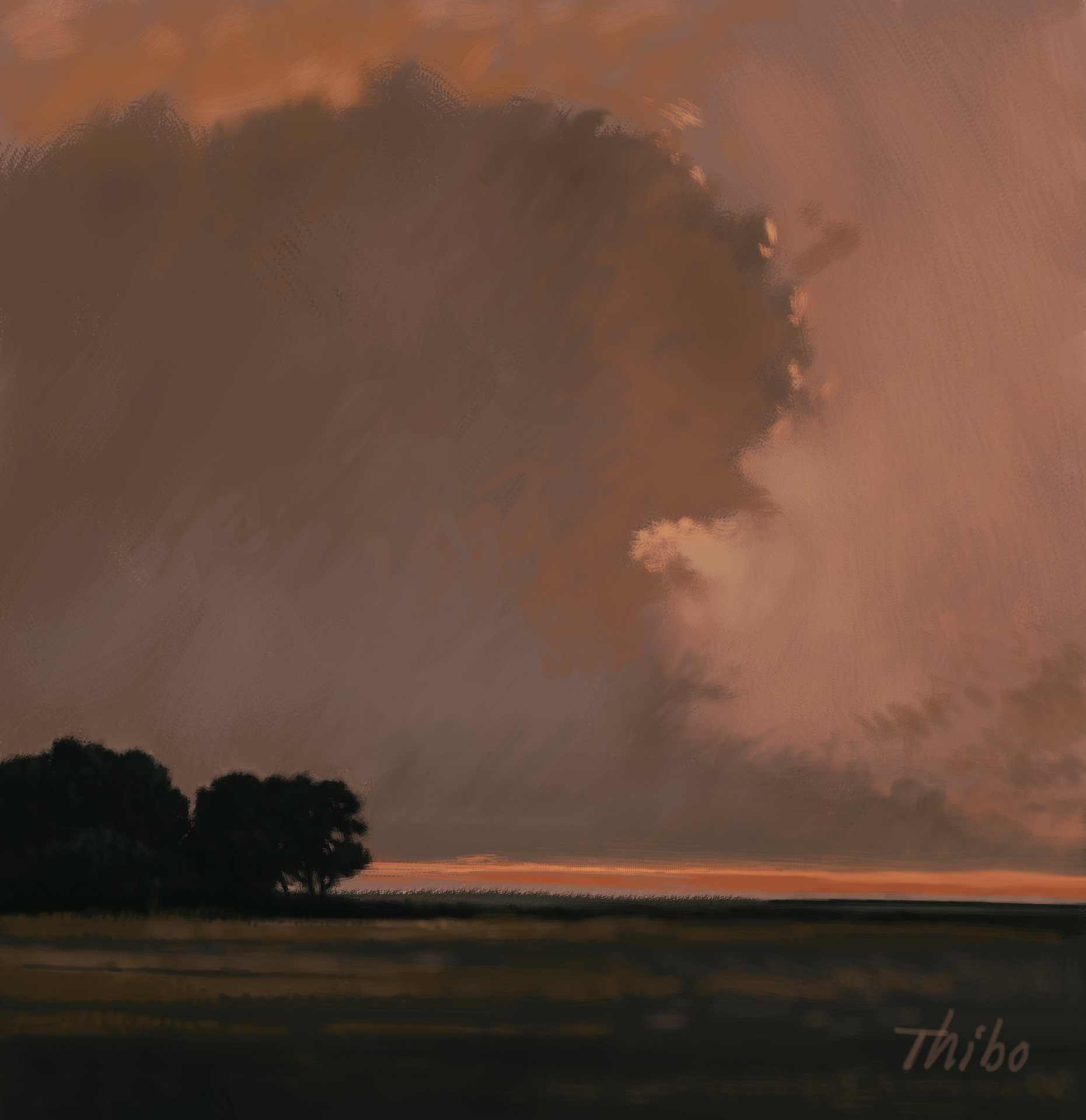 robert thibault -