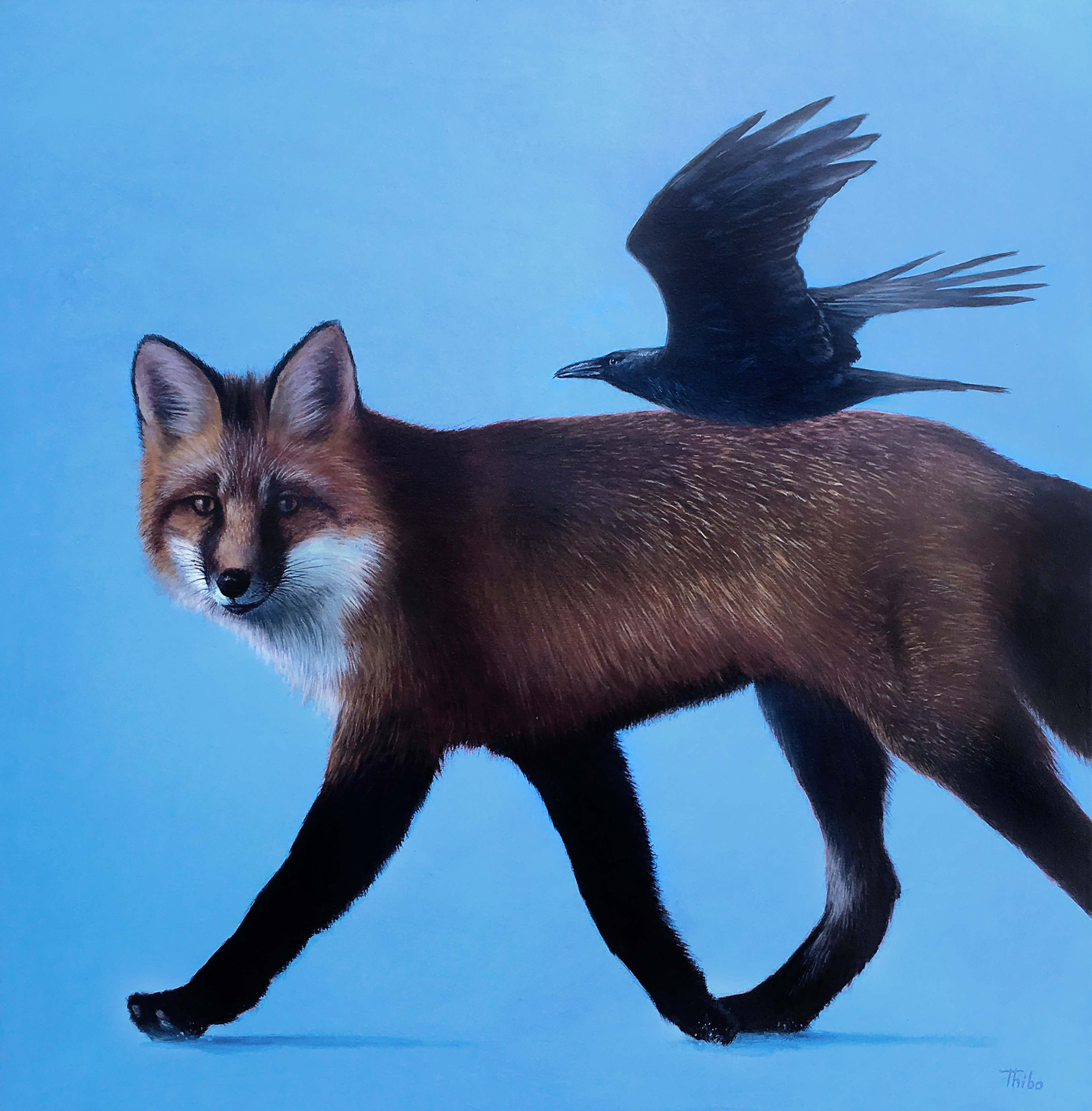 robert thibault - Les futés 36 po x 36 po