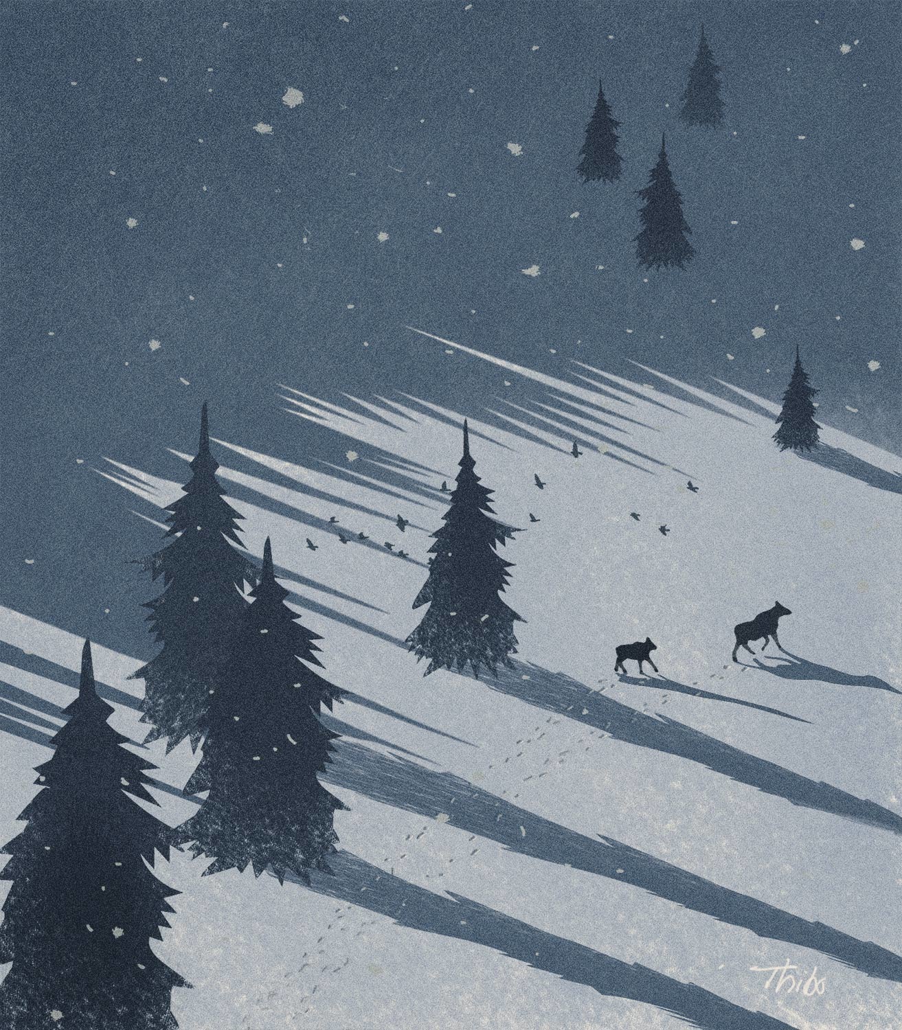 robert thibault -