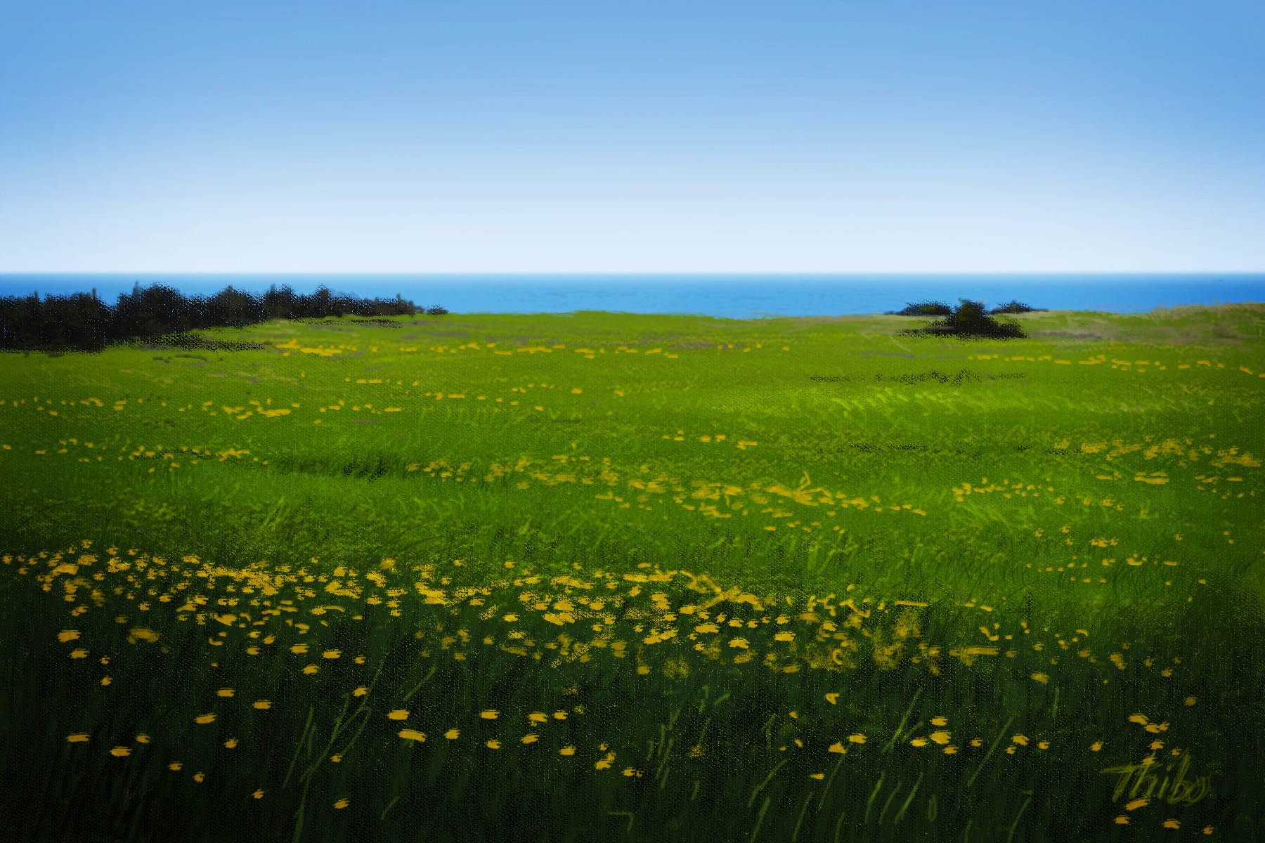 robert thibault -
