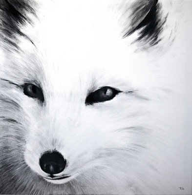 robert thibault - Renard arctique 160 cm x 160cm
