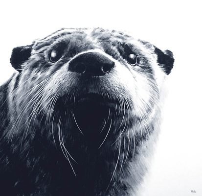 robert thibault - Loutre 160 cm x 160 cm