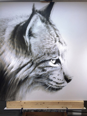 robert thibault - Lynx 160 cm x 160 cm