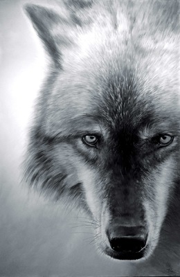 robert thibault - Loup 120 cm x 180 cm