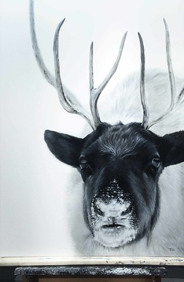 robert thibault - Caribou forestier 92 cm x 122 cm