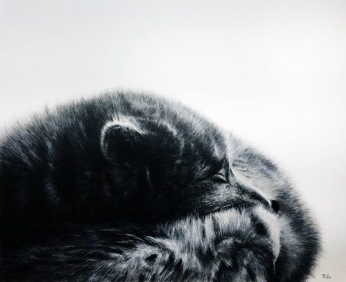 robert thibault - Renard polaire 100 cm x 75 cm