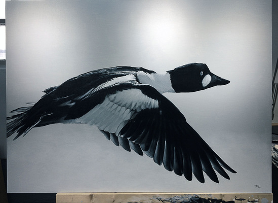 robert thibault - Garrot dIslande 122cm x 92 cm