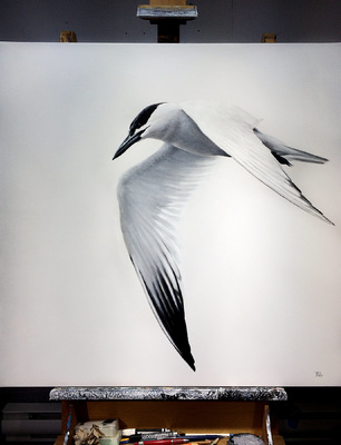 robert thibault - Sterne caspienne 92 cm x 92 cm