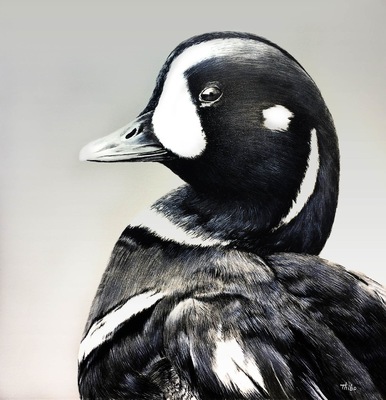 robert thibault - Arlequin plongeur 120 cm x 120 cm