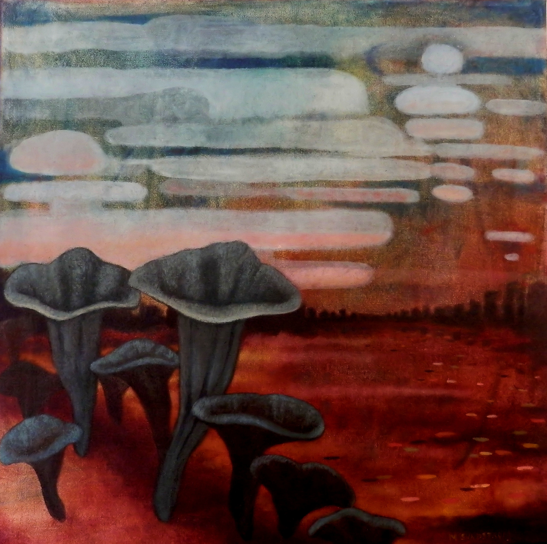 Mary Sundstrom - Black Trumpet Mushrooms & Linticular Clouds 20 x 20 SOLD