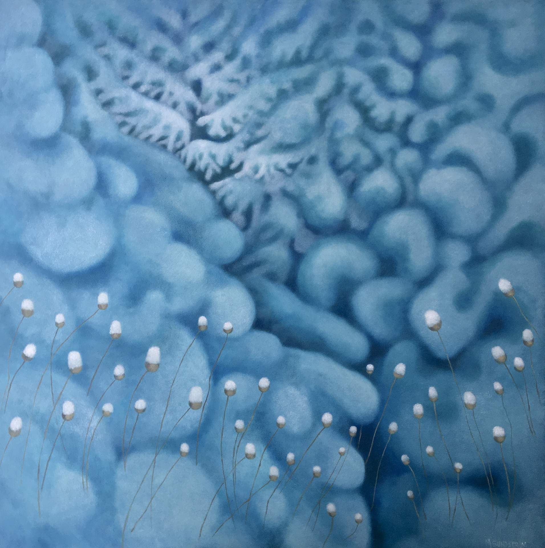 Mary Sundstrom - Winter Haiku 30x 30 oil on 1.5 deep canvas $1800 Available. email marysundstrom@gmail.com Click on the image for my statement.