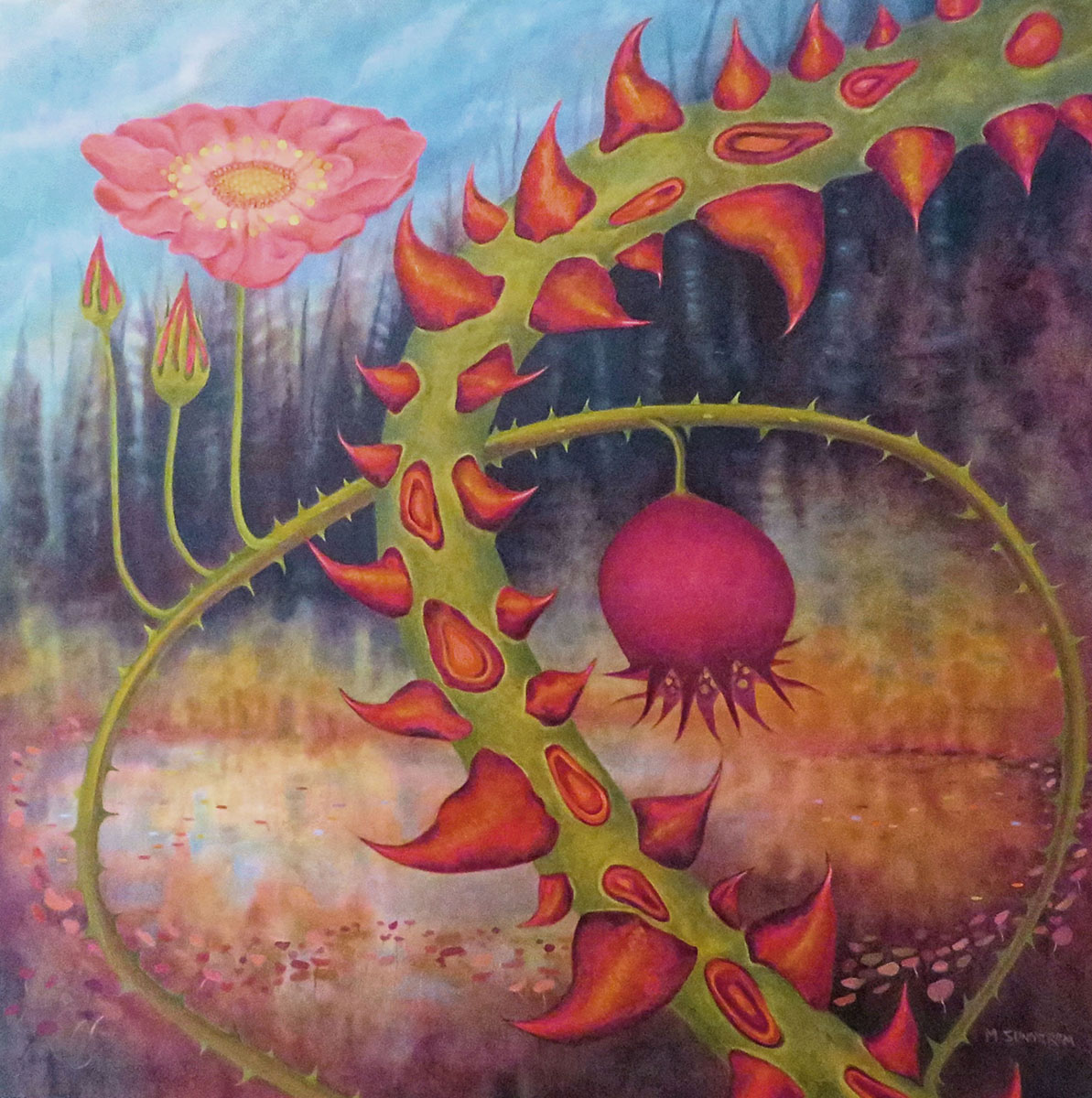 Mary Sundstrom - Wild Rose 36x 36 2019 oil on canvas Available $1800 contact marysundstrom@gmail.com Shipping is additional if required