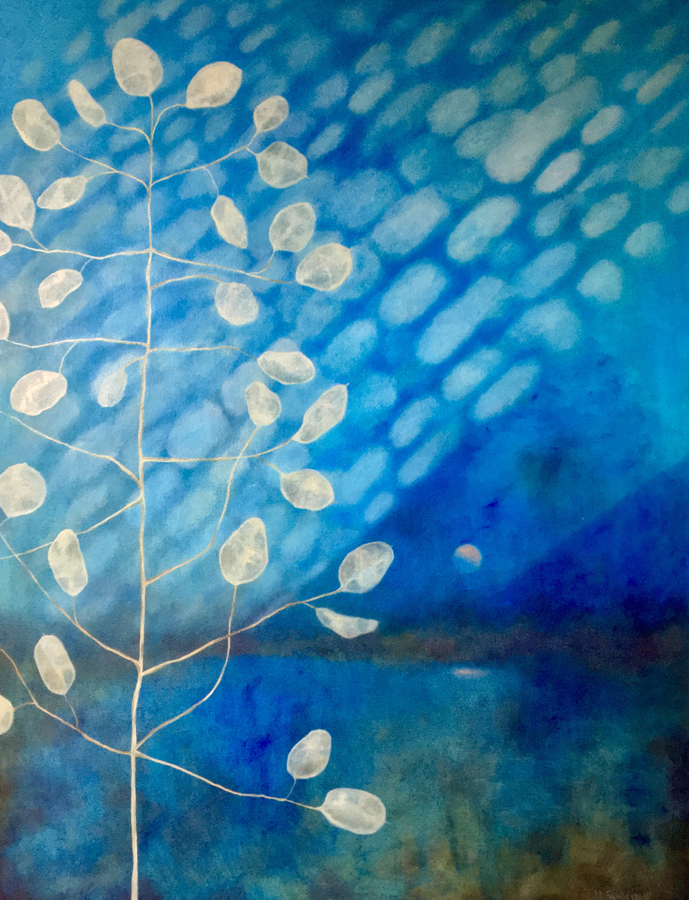 Mary Sundstrom - Money Plant in Blue 30x 40 oil on 1.5 deep canvas available $2000 email marysundstrom@gmail.com