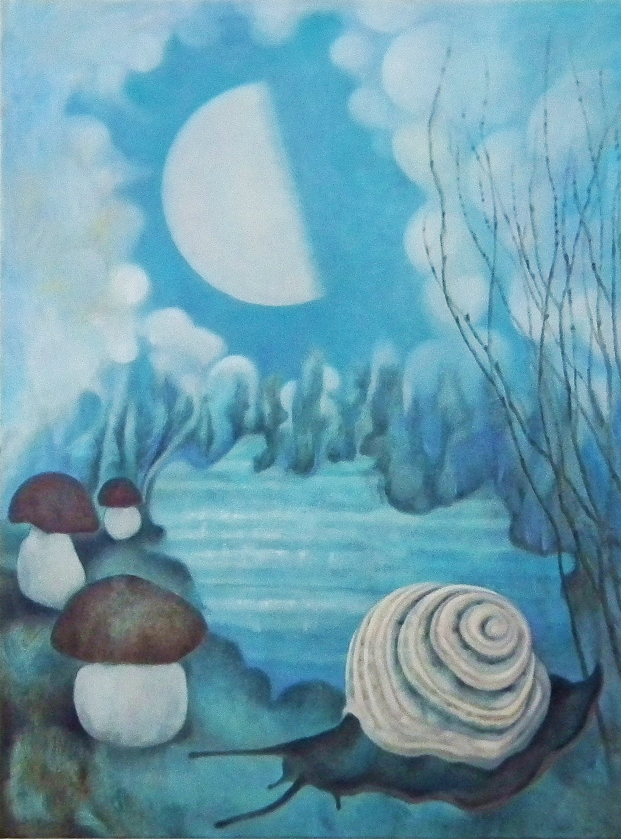 Mary Sundstrom - Sand Lakes Quiet Area 30x 40 oil on canvas. Float framed in gunmetal. Higher Art Gallery SOLD$2100.