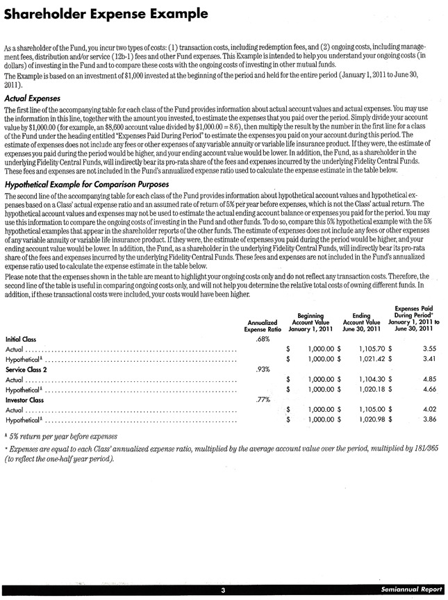 Artist Pen - Shareholder Example Page