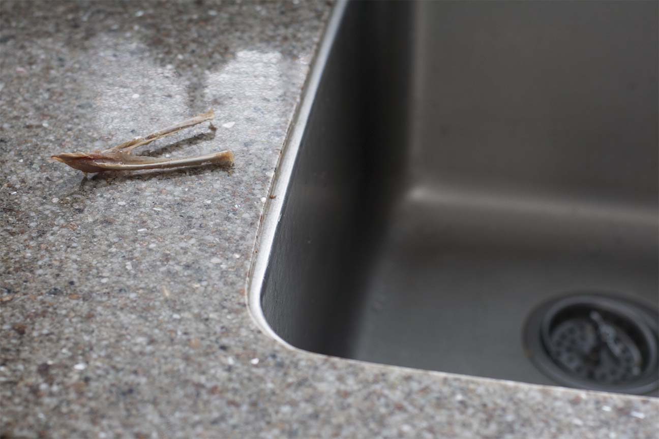 Jennifer Murray - Wish 