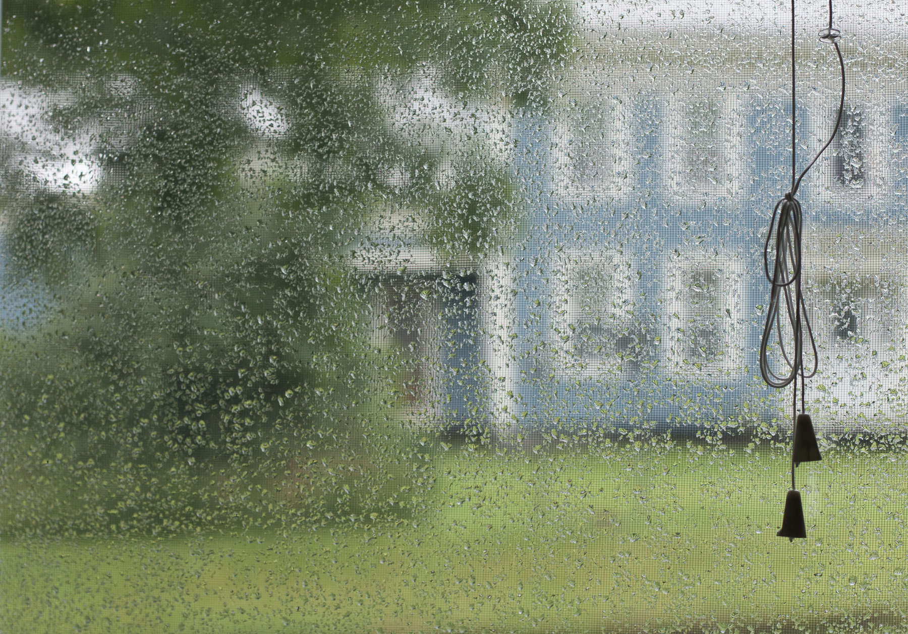 Jennifer Murray - Limerence 