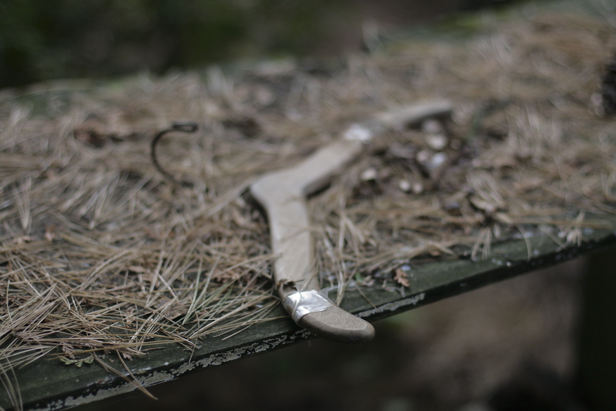 Jennifer Murray - In the woods 