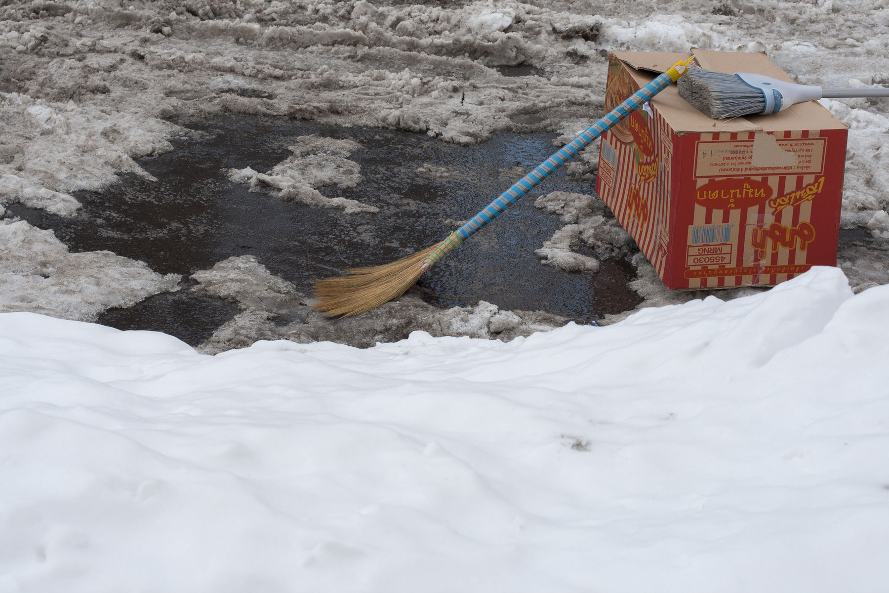 Jennifer Murray - Dibs, 60659