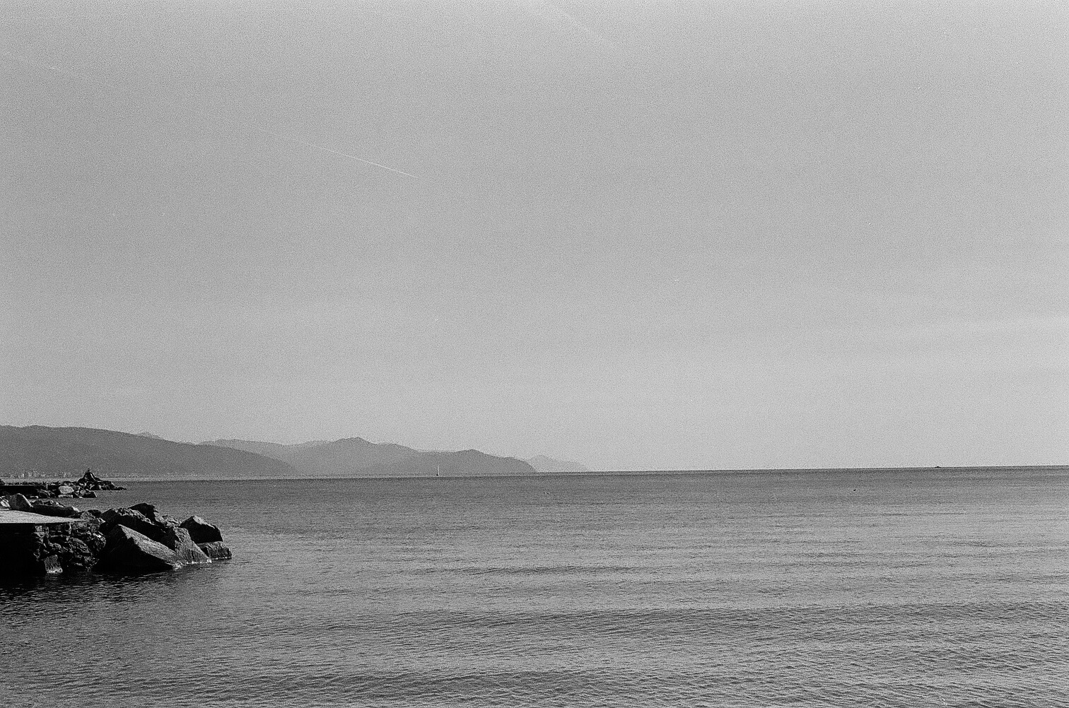 b&w 2019