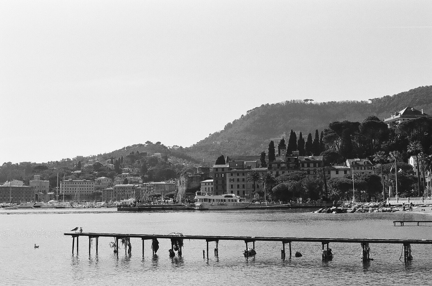 b&w 2019
