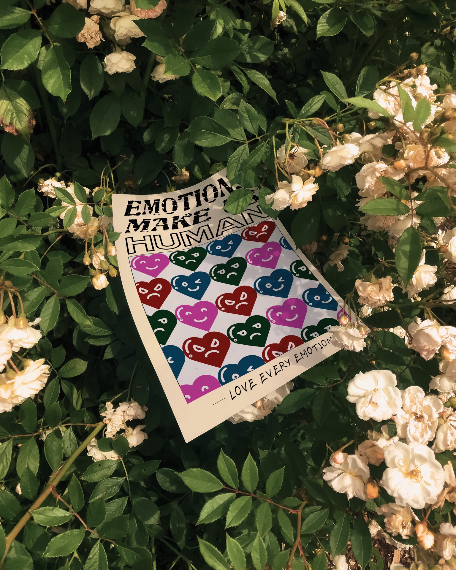 Emotions