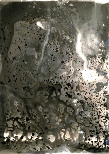 Regurgitating Nature