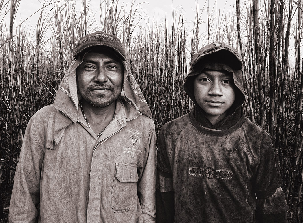 Father and son, cane cutters