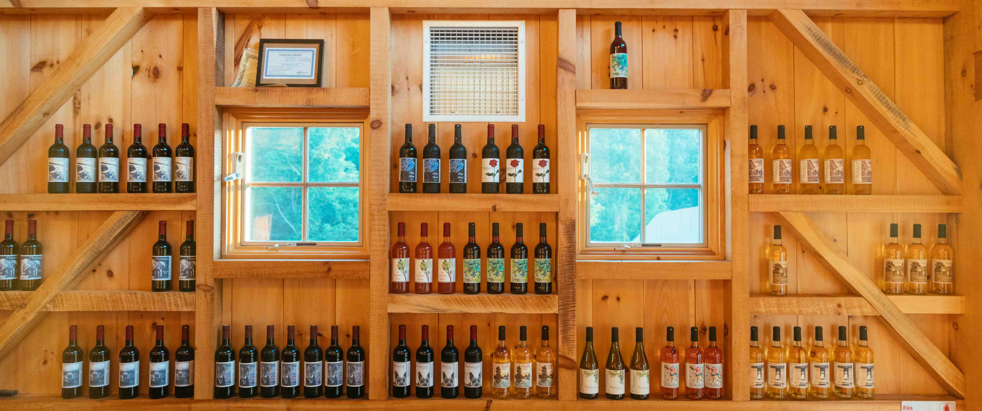 Marketing & Promotional