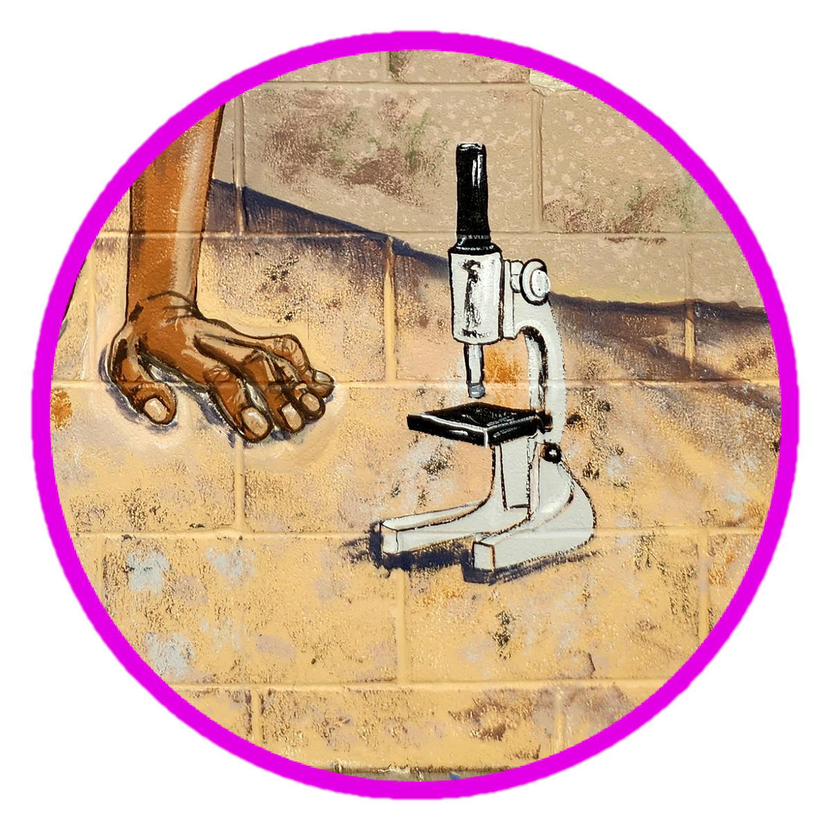 Science Murals