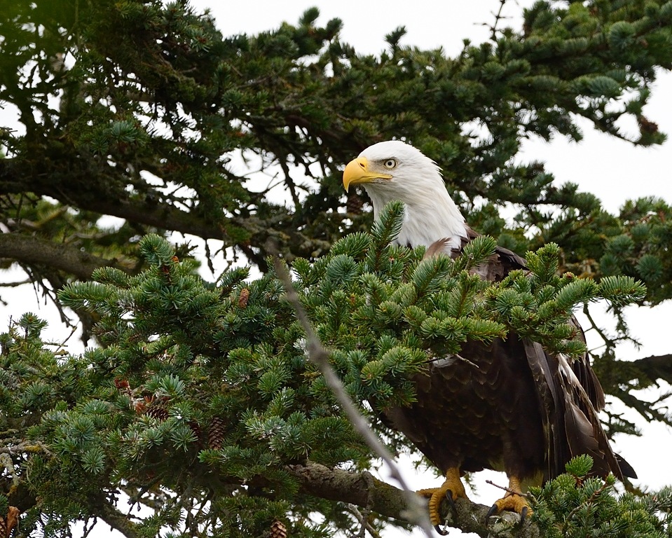 Alaska August 2014