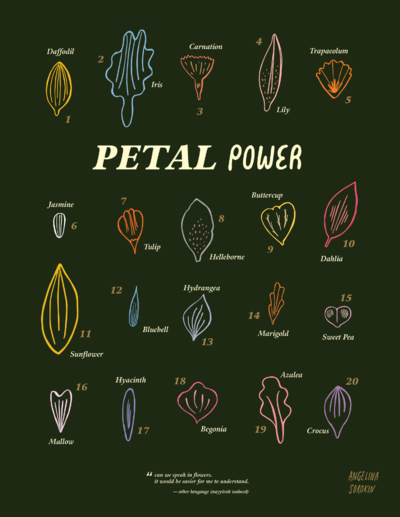 Angelina Sorokin on Find Creatives