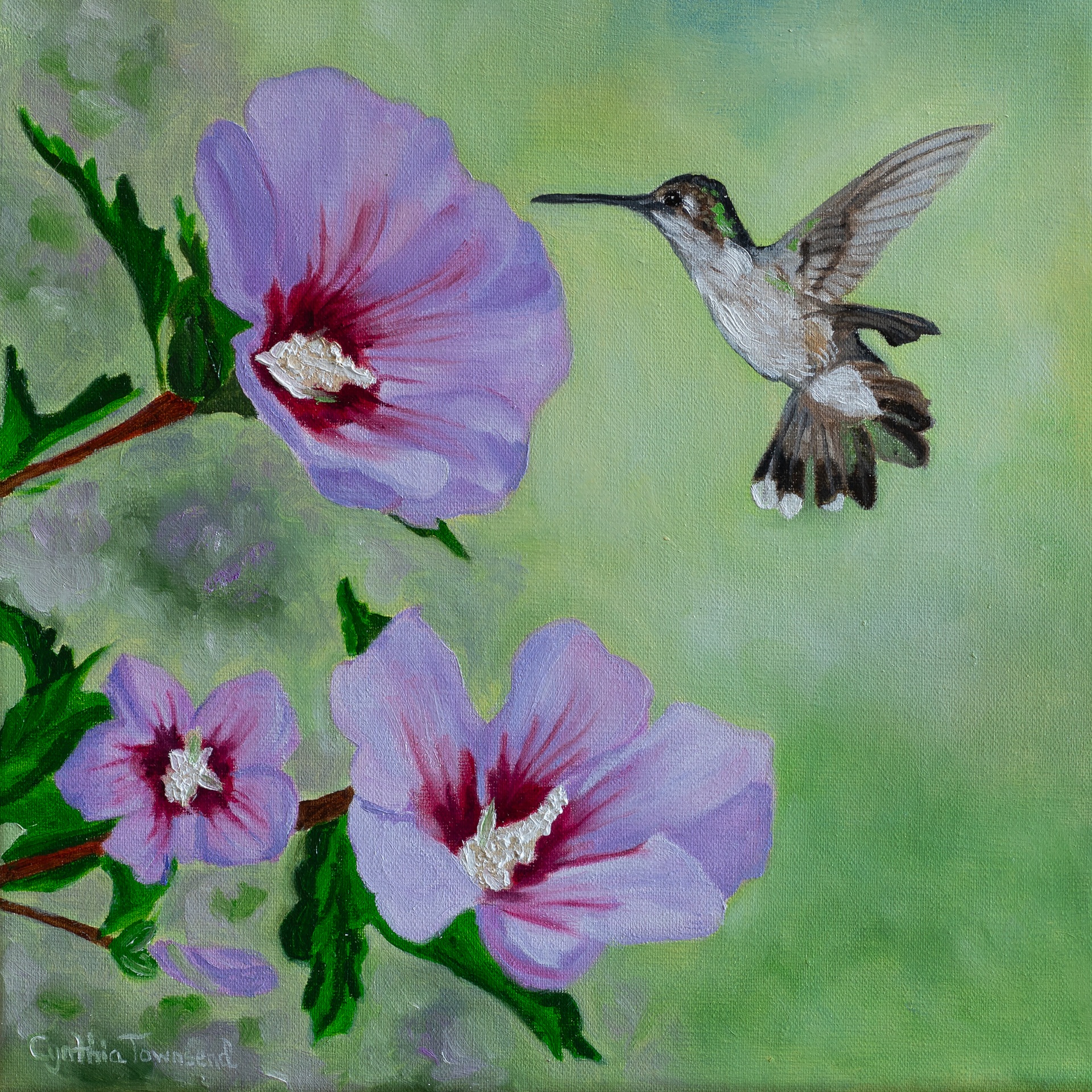 Rosemary Bird作 アボリジニアート Hummingbird & Rose of Sharon (10x10 oil painting on linen
